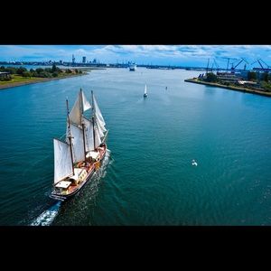 Meet your Posher, Jedrick